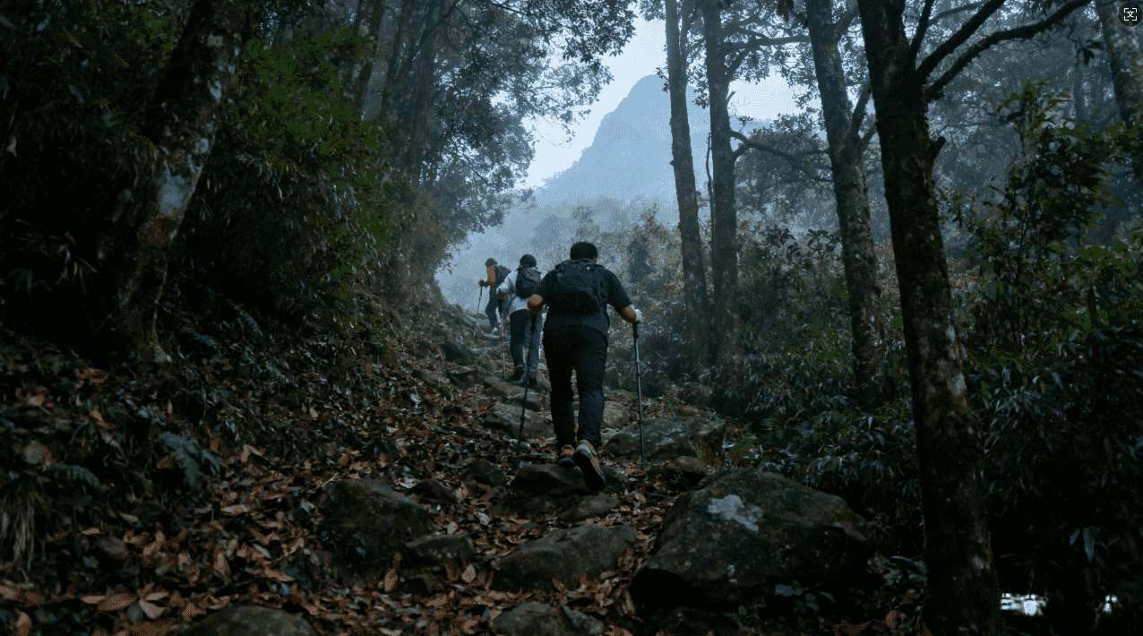 旋风加速器免费版ios使用体验与详细评测